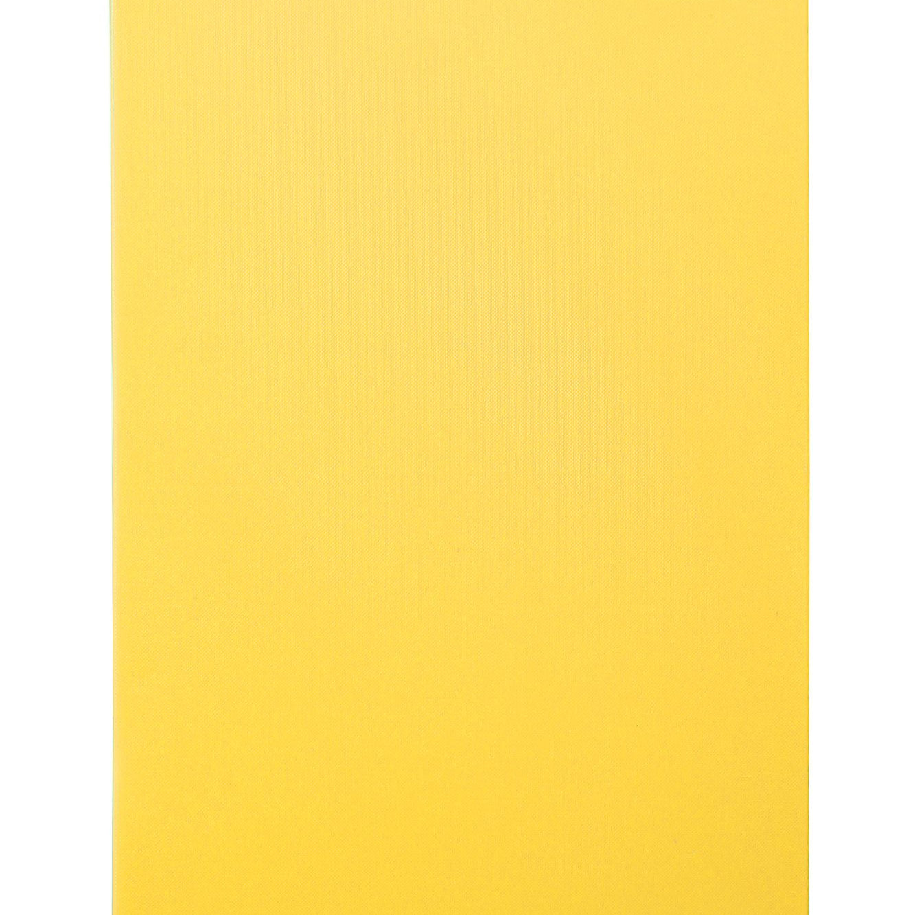 Tábua de corte HACCP amarela 600x400 mm HDPE500